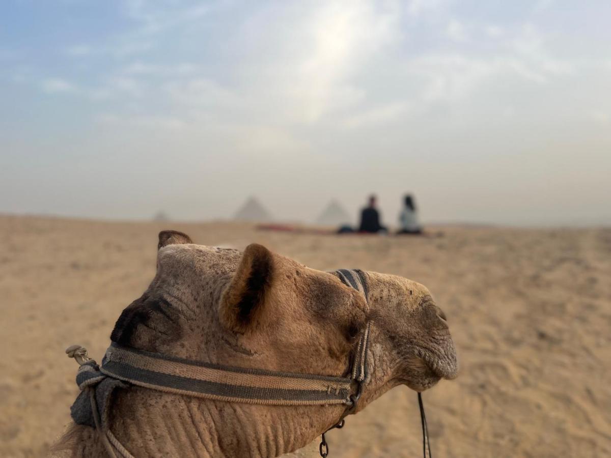 Pyramids Top Success Result Kafret el-Gabal エクステリア 写真