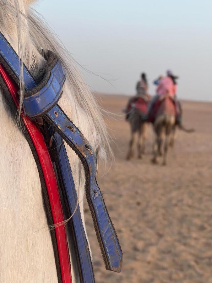 Pyramids Top Success Result Kafret el-Gabal エクステリア 写真